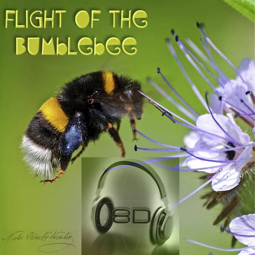 Flight of the Bumblebee - Nikolai Rimsky-Korsakov - 8D Binaural Sound (8D Binaural Sound - Music Therapy)