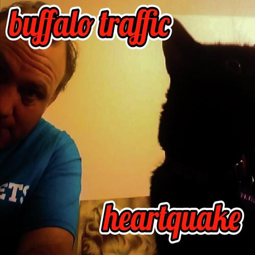 Buffalo Traffic
