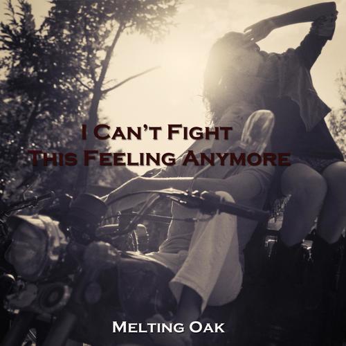 I Can't Fight This Feeling Anymore_poster_image