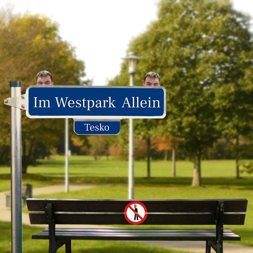 Im Westpark Allein cover art