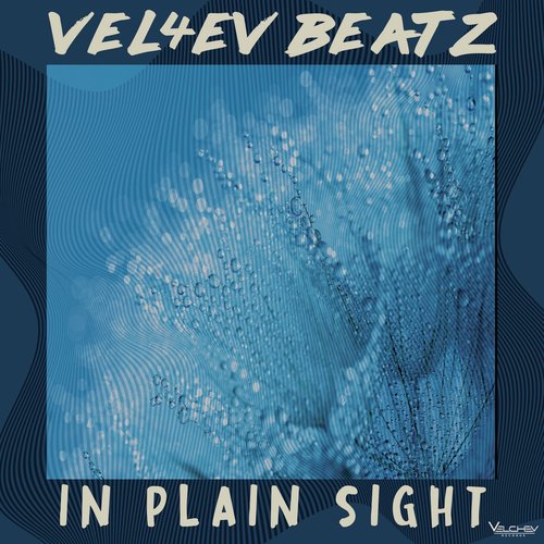 In Plain Sight