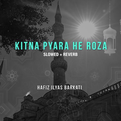 Kitna Pyara He Roza (Lofi-Mix)