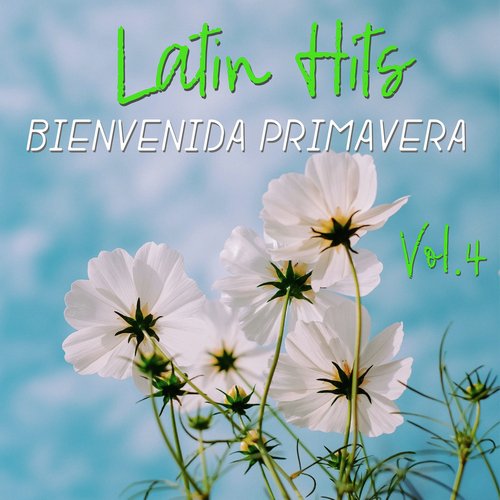 Rosa Pastel Lyrics - Latin Hits Bienvenida Primavera Vol. 4 - Only on  JioSaavn