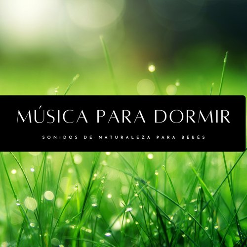Aguas Calmas cover art