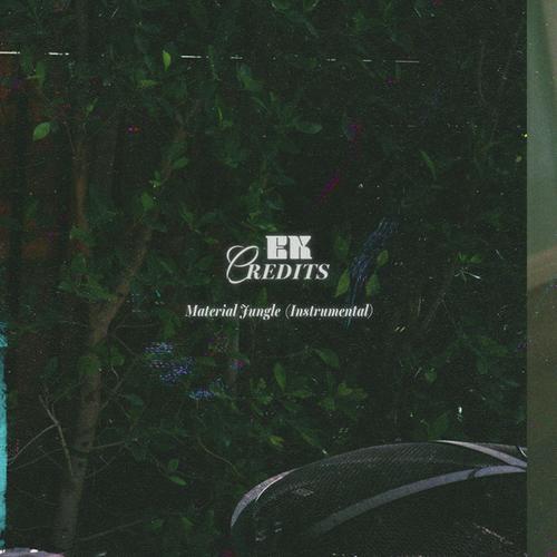 Material Jungle (Instrumental) cover art