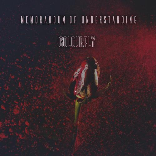 Memorandum Of Understanding - Colourfly