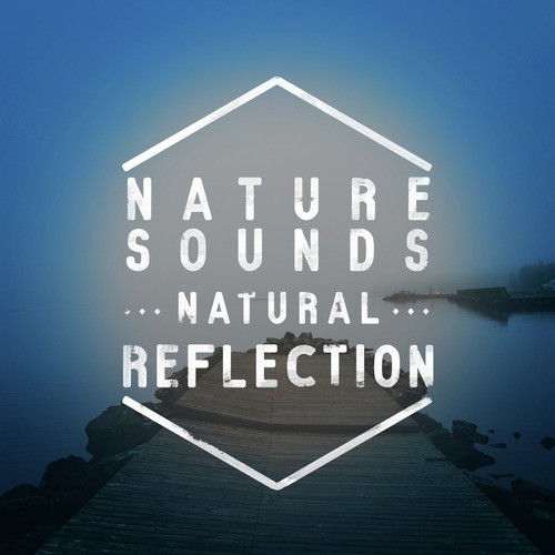 Nature Sounds: Natural Relaxation_poster_image