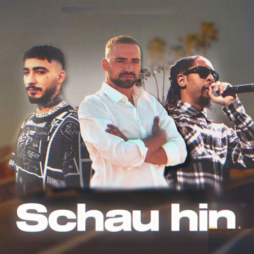 Schau Hin_poster_image