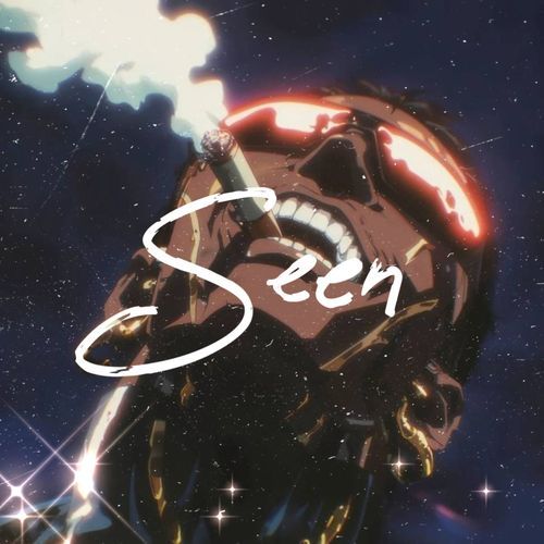 Seen cover art