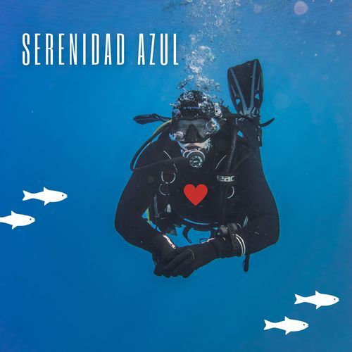 Ondas suaves cover art