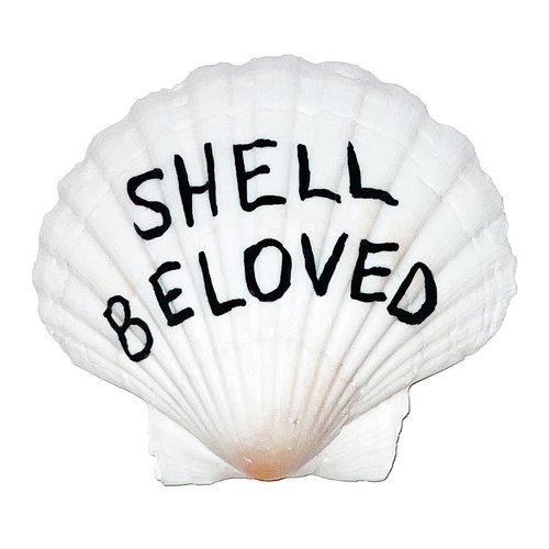 Shell Beloved_poster_image