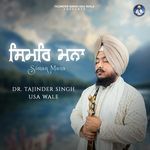 Simar Mana artwork