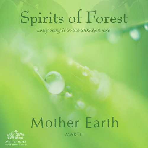 Spirits of Forest