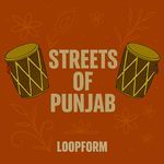 Streets of Punjab artwork
