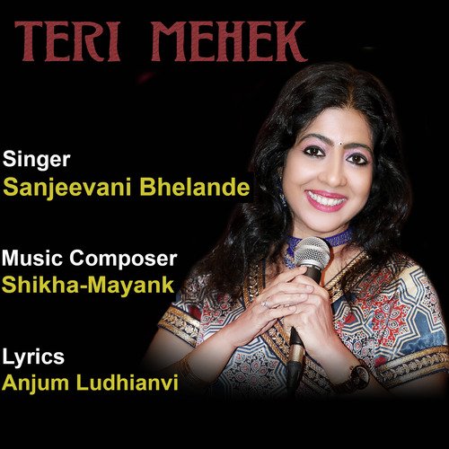 Teri Mehek - Single