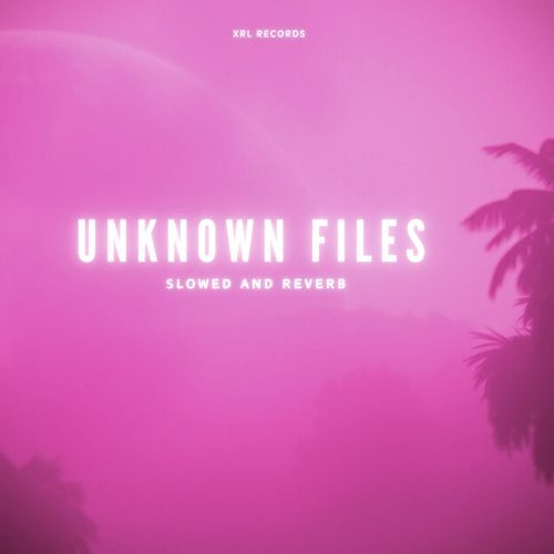 UNKNOWN FILES (Slowed And Reverb)