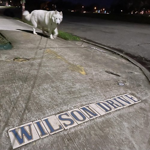 Luke Warm cover art
