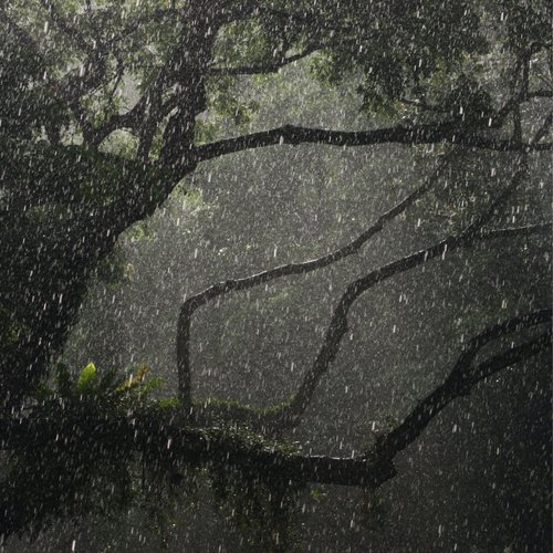 Rain Mantra cover art