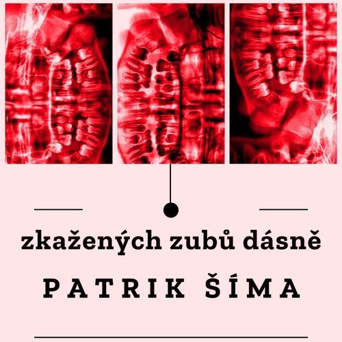 Potichu cover art
