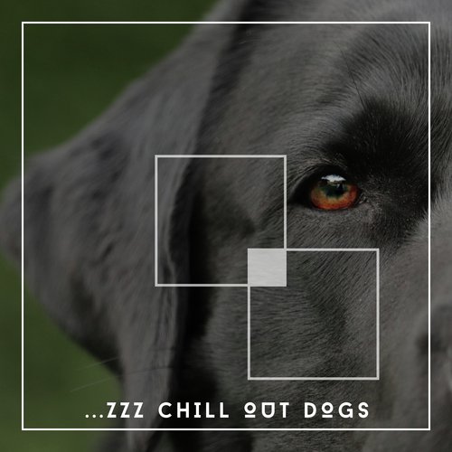 Tired Dog Chill Out cover art