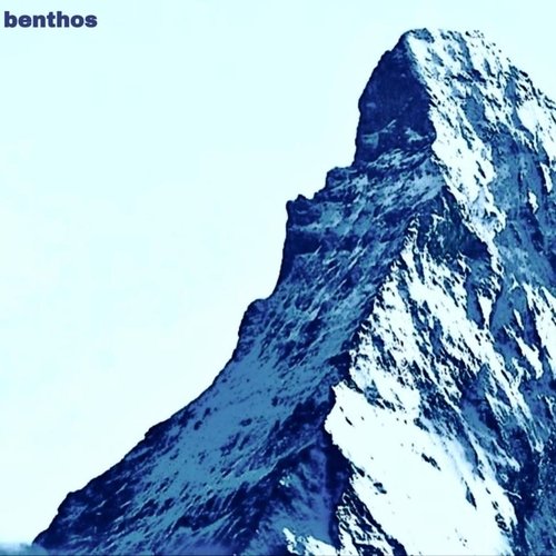 Frank cover art