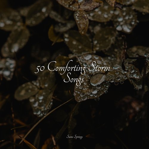 50 Comforting Storm Songs_poster_image