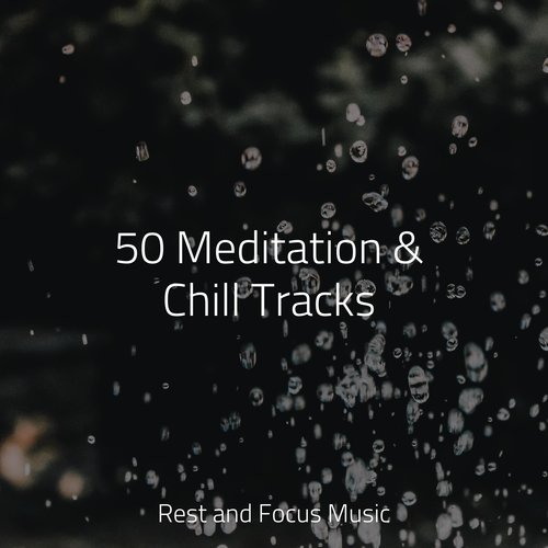 50 Meditation &amp; Chill Tracks_poster_image