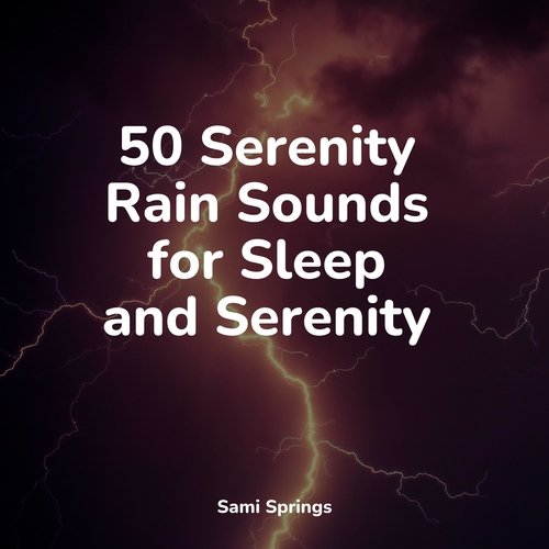 50 Serenity Rain Sounds for Sleep and Serenity_poster_image