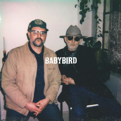 Babybird cover art