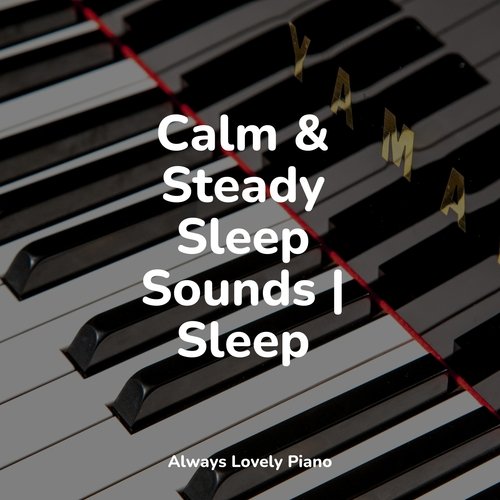 Calm &amp; Steady Sleep Sounds | Sleep_poster_image