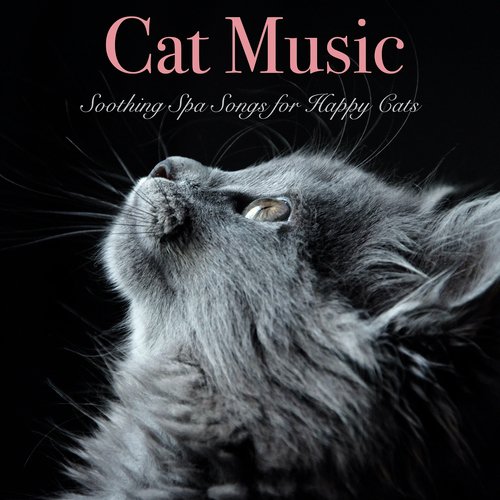 Cat Music: Soothing Spa Songs for Happy Cats