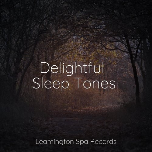 Delightful Sleep Tones