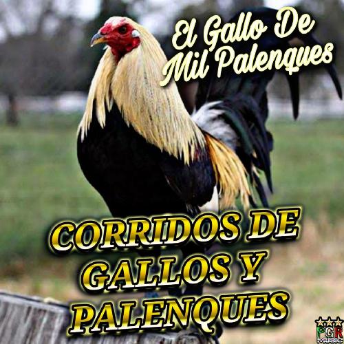 Pepe Guerra cover art