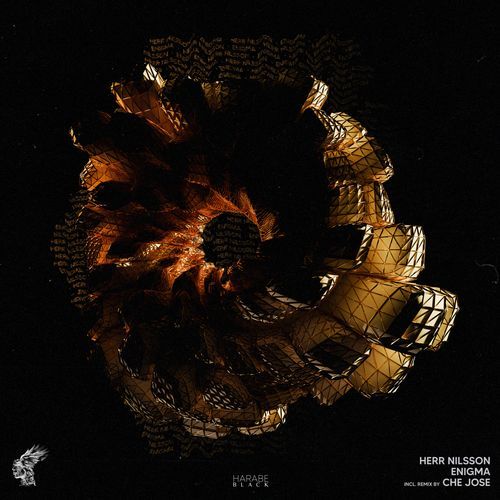 Enigma (Che Jose Remix) cover art