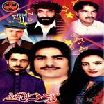 Gulsasta Gharanai Sandare, Vol. 11