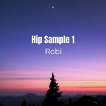 Hip Sample 1