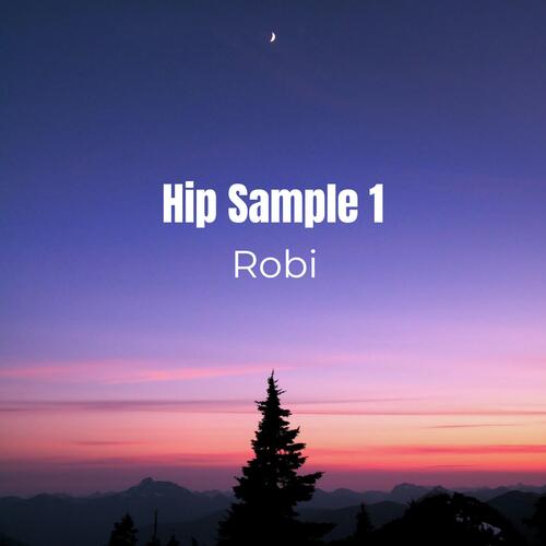 Hip Sample 1