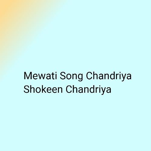 भूली ना जावे Mewati Song Sahin Chanchal