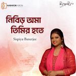 Nibir Oma Timir Hote