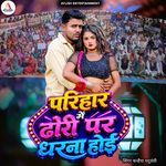 Parihar Me Dhori Par Dharna Hoi artwork