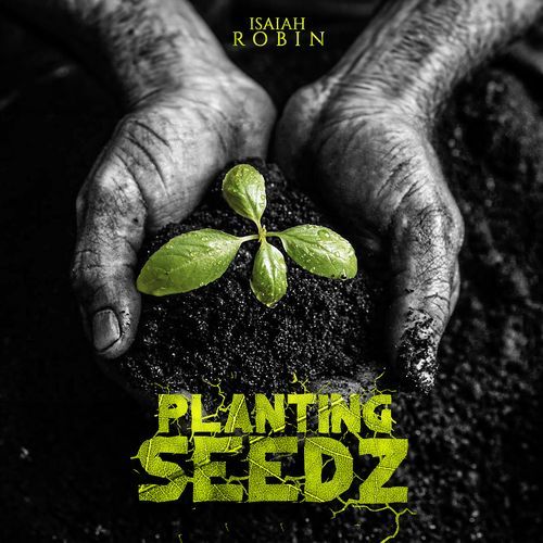 Planted Seedz_poster_image