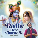Radhe Tere Charno Ki