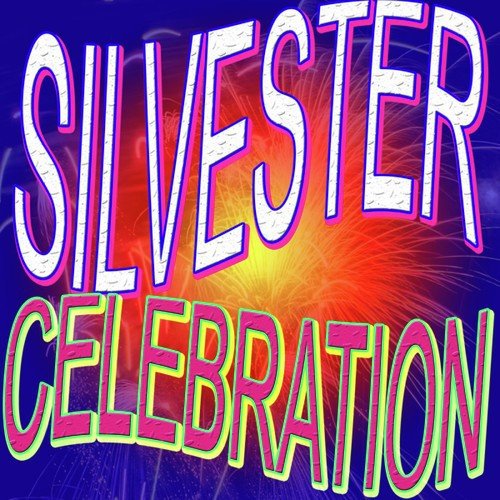 Silvester Celebration (Top 20 Happy New Year Mister Lover Party Loca Hits)