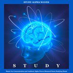 Study Alpha Waves and Relaxation