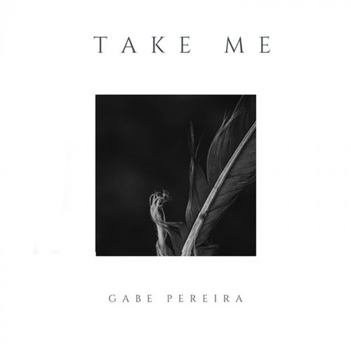 Take Me_poster_image