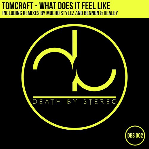 What Does It Feel Like? (Mucho Stylez Remix) cover art