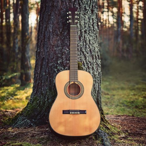 Guitarra Zen Armónica cover art