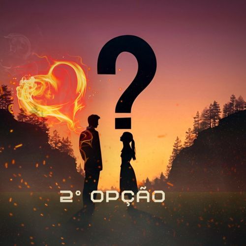 2° Opção