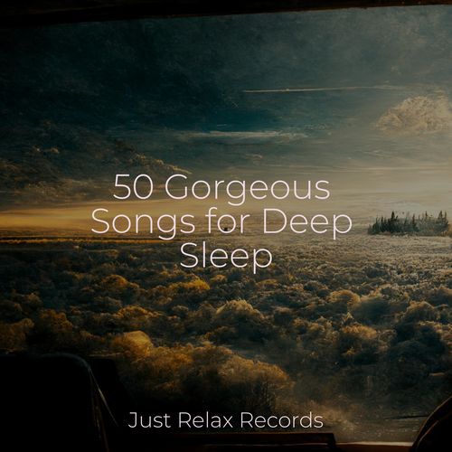 50 Gorgeous Songs for Deep Sleep