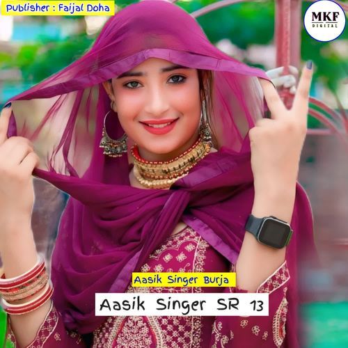 Aasik Singer SR 13